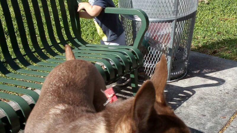 Westbrook Park - Miami, FL