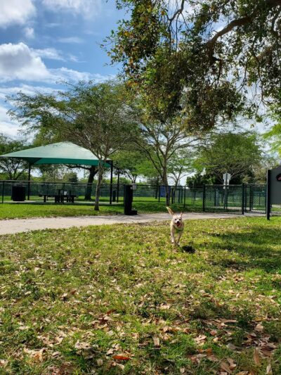 K-9 Cove - Miami Lakes, FL