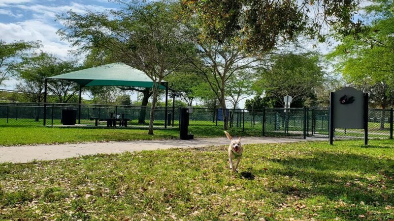 K-9 Cove - Miami Lakes, FL