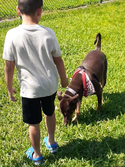 K-9 Cove - Miami Lakes, FL