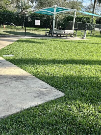 Dog Park - Miami Shores, FL