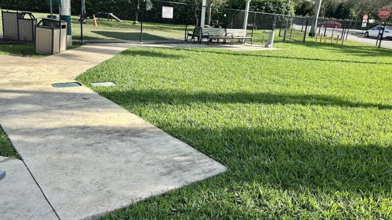 Dog Park - Miami Shores, FL