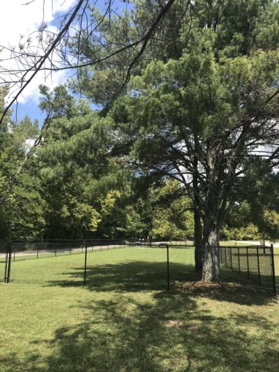 Harrison Bay State Park Dog Park - Middle Valley, TN