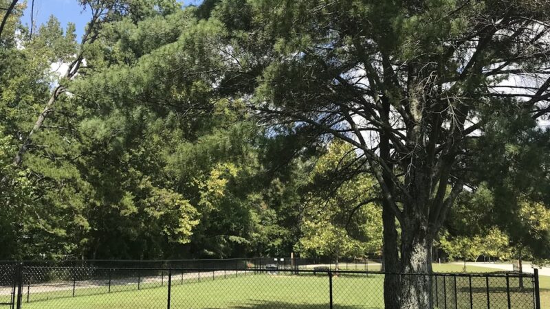 Harrison Bay State Park Dog Park - Middle Valley, TN