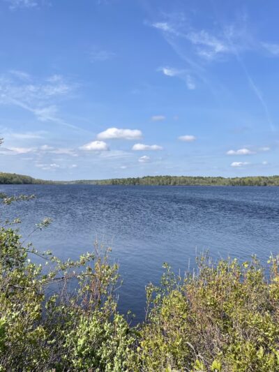 Between the Lakes - Middleborough, MA