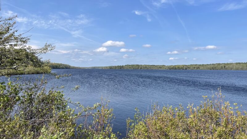 Between the Lakes - Middleborough, MA