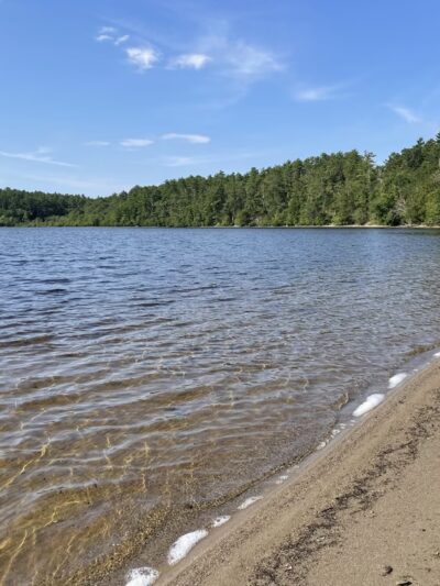 Between the Lakes - Middleborough, MA