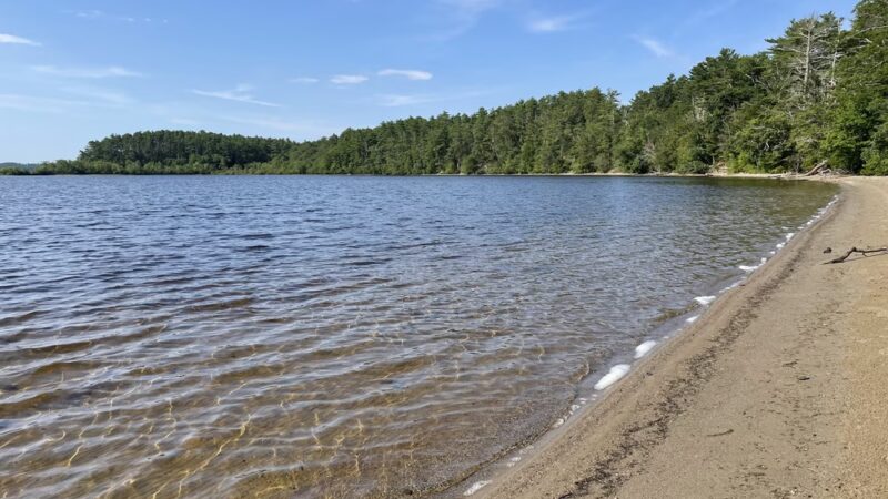 Between the Lakes - Middleborough, MA