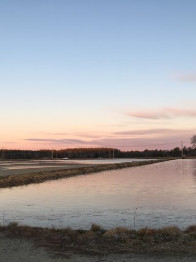 Between the Lakes - Middleborough, MA