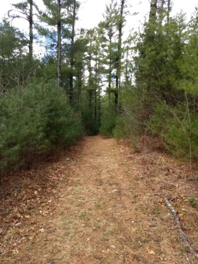 Frederick Weston Memorial Park - Middleborough, MA