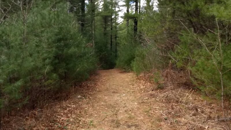 Frederick Weston Memorial Park - Middleborough, MA