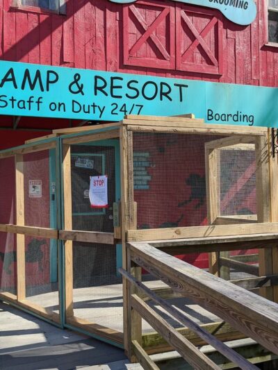 K9 Camp & Resort - Middleborough, MA