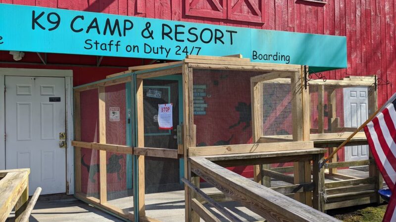 K9 Camp & Resort - Middleborough, MA
