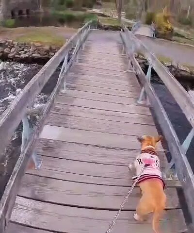 Oliver Mill Park - Middleborough, MA