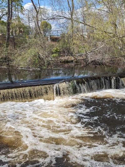 The Herring Run - Middleborough, MA
