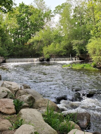 The Herring Run - Middleborough, MA