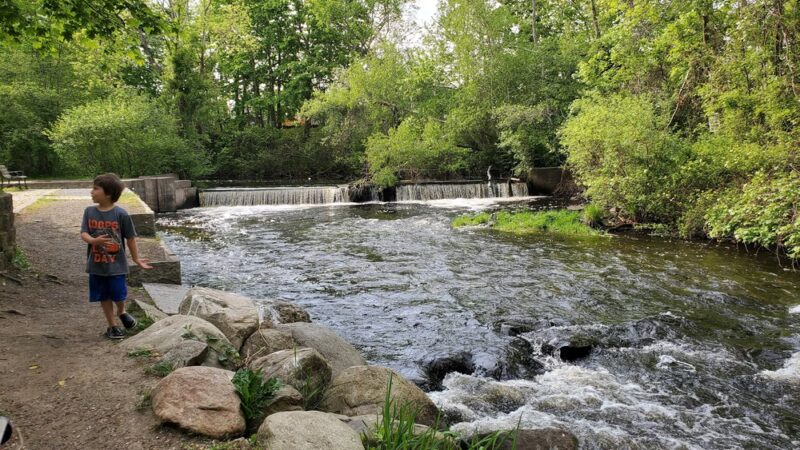 The Herring Run - Middleborough, MA