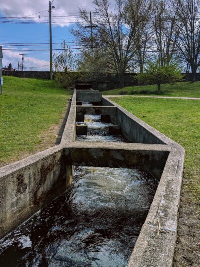 The Herring Run - Middleborough, MA