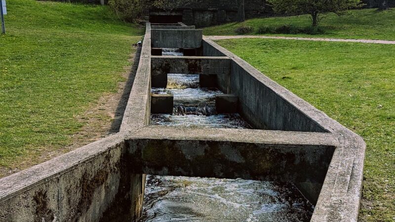 The Herring Run - Middleborough, MA