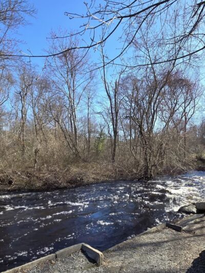 The Herring Run - Middleborough, MA