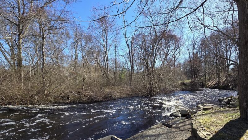 The Herring Run - Middleborough, MA