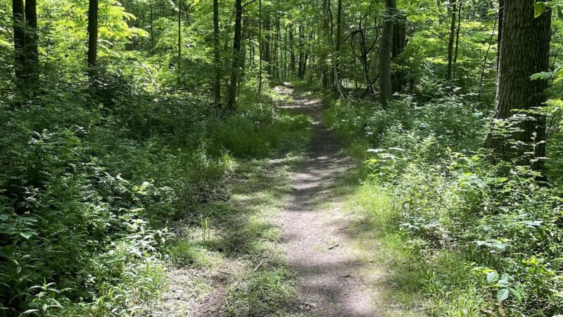 Highland Lakes State Park - Middletown, NY