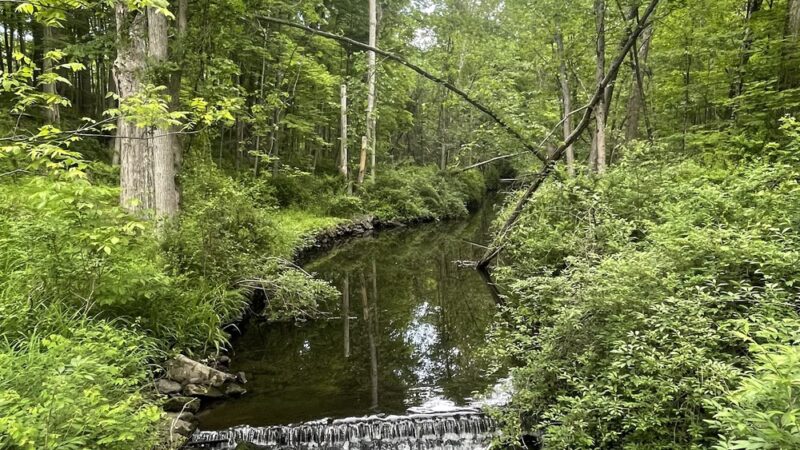 Highland Lakes State Park - Middletown, NY