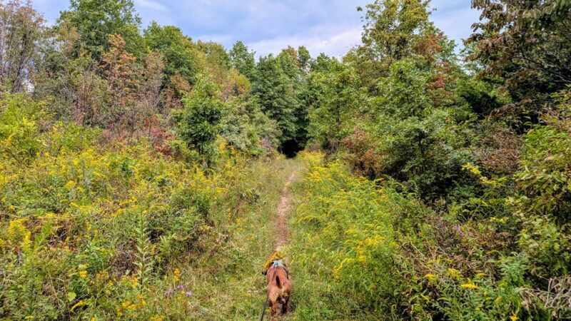 Highland Lakes State Park - Middletown, NY