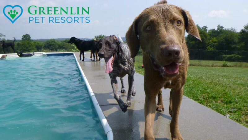 Greenlin Pet Resorts - Middletown, PA