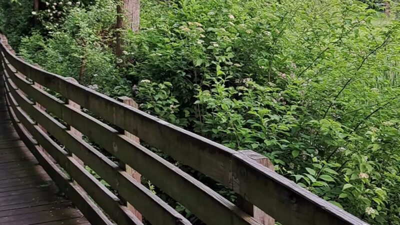 Highspire Reservoir Park - Middletown, PA