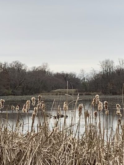 Highspire Reservoir Park - Middletown, PA