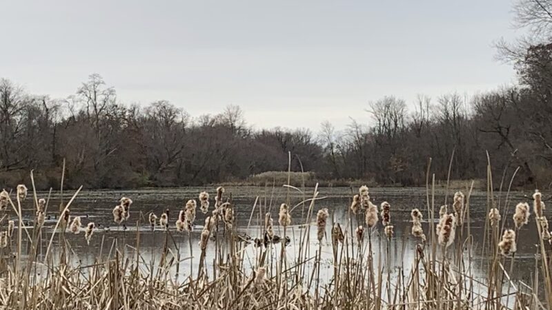 Highspire Reservoir Park - Middletown, PA