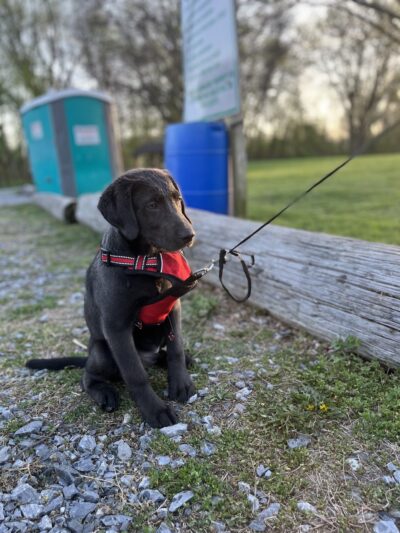 Highspire Reservoir Park - Middletown, PA