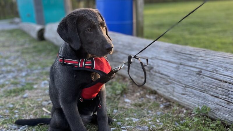 Highspire Reservoir Park - Middletown, PA
