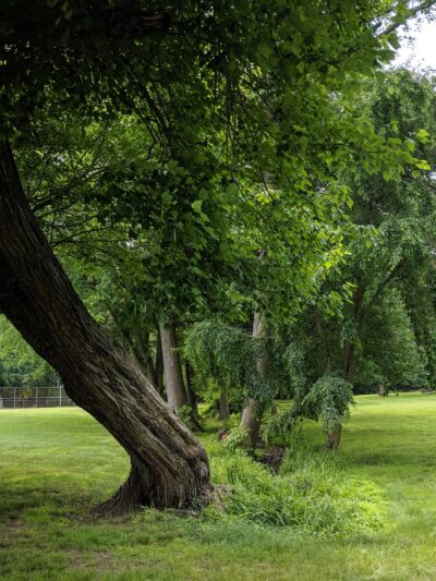 Evergreen Park - Middletown Township, NJ