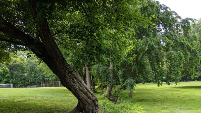 Evergreen Park - Middletown Township, NJ
