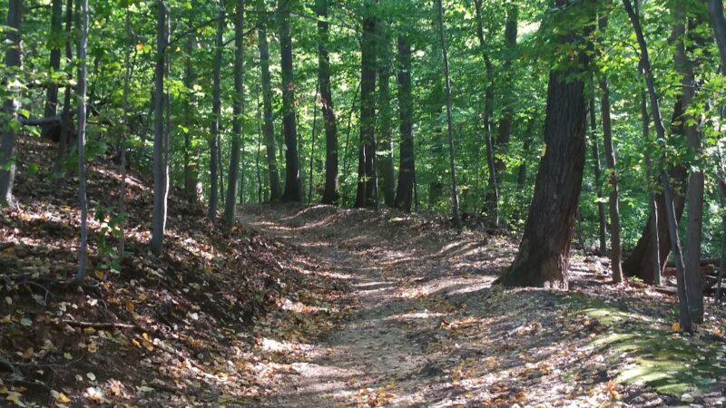 Tatum Park - Middletown Township, NJ