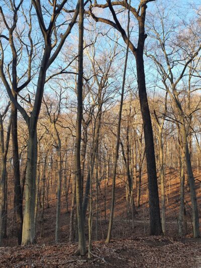 Tatum Park - Middletown Township, NJ