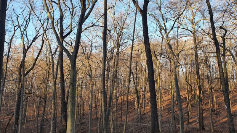 Tatum Park - Middletown Township, NJ