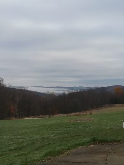 Animal Care Sanctuary - Milan, PA