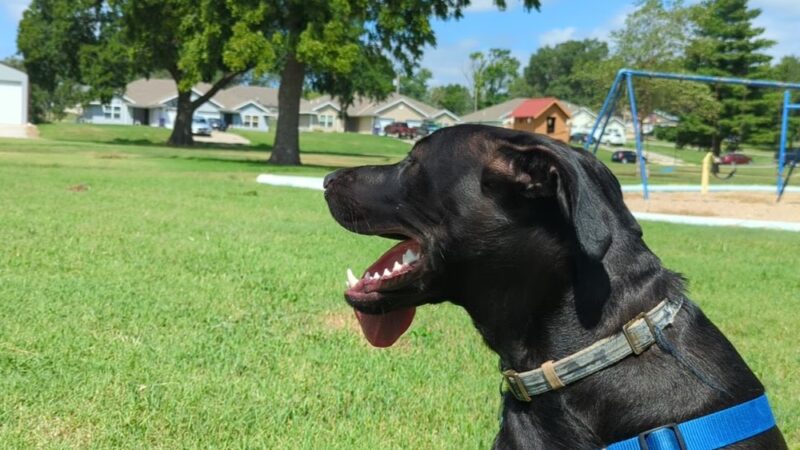 Milford City Park - Milford, KS