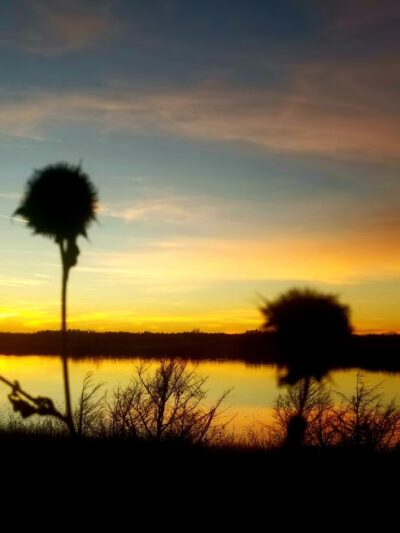Northern Overlook Park at Milford Lake - Milford, KS