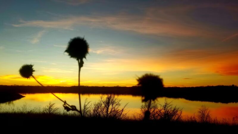 Northern Overlook Park at Milford Lake - Milford, KS