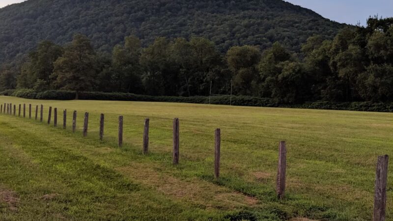 Peddie Memorial Park - Mill Hall, PA