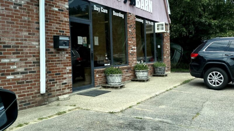 Dog Barn - Millis, MA