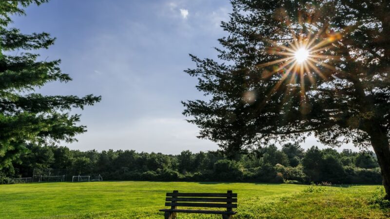 Oak Grove Playground - Millis, MA