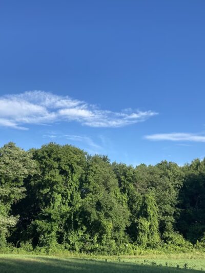 Pleasant Meadows - Millis, MA