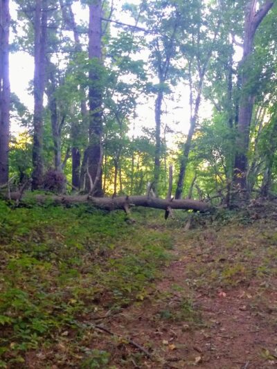 Pleasant Meadows - Millis, MA