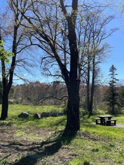 Pleasant Meadows - Millis, MA