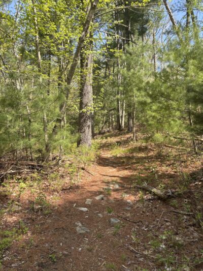 Village street walking path, parking lot - Millis, MA